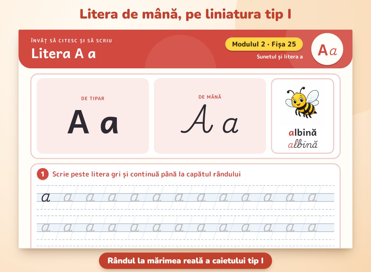 Litera și liniatura de la școală